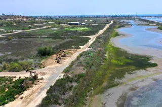 🌿Banning Ranch: Huntington Beach’s Wild Coastal Secret 