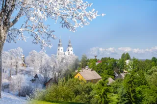 Tax Planning In Winter and Summer
