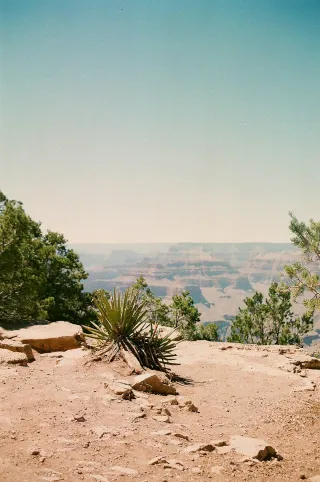 Wellness Weekend in Phoenix, Arizona: Luxury, Nature & Renewal