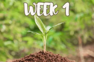 Week 1 | Theology