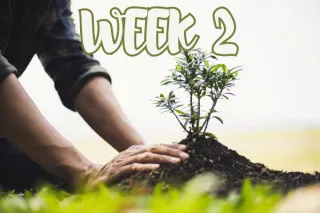 Week 2 | Identity