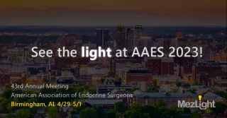 MezLight @ AAES2023