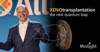 A Quantum Jump in Transplantation—and Why It Matters Beyond the Lab
