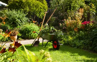 Professional Landscaping Services in Blandford Forum