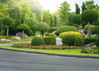 Comprehensive Landscaping Services in Dorchester