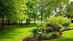 Blandford Forum Landscaping Services: What You Need to Know
