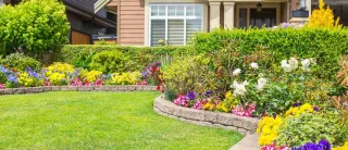 Poundbury’s Top Professional Landscapers: A Guide