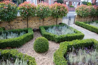 Transform Your Garden with Expert Landscaping in Puddletown