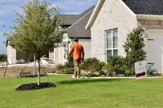 Why You Need a Landscape Gardener in Dorchester