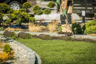 Benefits of Hiring a Professional Landscaper in Blandford Forum