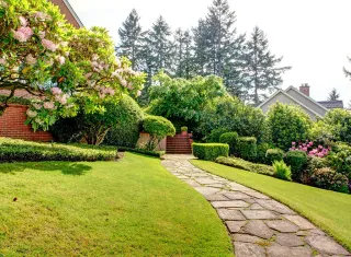 Landscaping in Dorset: How to Elevate Your Garden