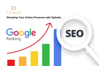 Elevating Your Online Presence with Splindis