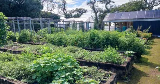 FREEZE-DRYING: PRESERVING RADISH SEEDS