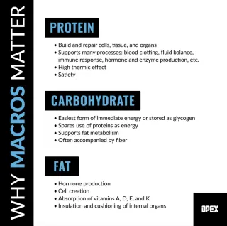 Nutrition Misconceptions