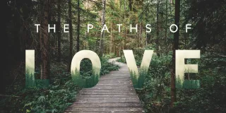 The Paths of Love: A Roadmap to Relationship Growth