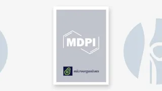 O Impacto das Opções de Terapêutica Antibiótica e da Abordagem Multidisciplinar nas Infeções Protésicas Articulares