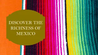 Exploring the Richness of Mexico: A Tapestry of Culture, Facts, and Professional Growth