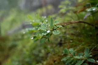 Finding Your Path When Sustainability Work Feels Heavy