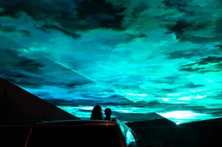 Illuminate Your Holidays with Emerald Owl Productions' Christmas Light Shows