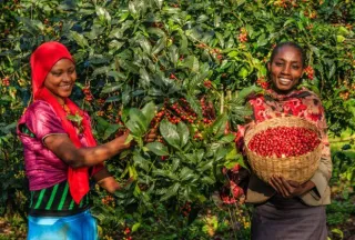 How Non-Profit Farming is Making a Difference