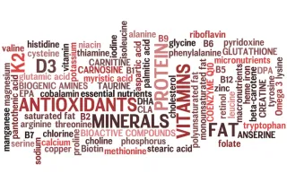 The Micronutrient Secret to Sharper Thinking and Better Focus