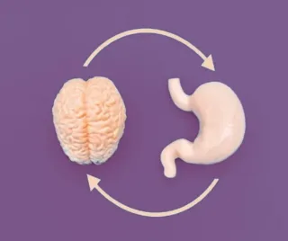 How Your Digestion Impacts Mental Clarity