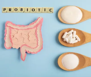 Probiotics for Brain Health and Lowering Mental Stress