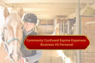 Commonly Confused Equine Expenses: Business VS Personal
