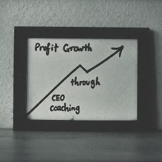 The Untapped Potential of CEO Coaching in Profit Maximization