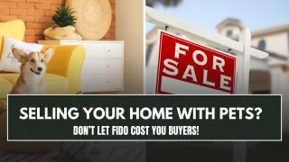 🐾 Selling Your Home with Pets: What Every Pet Owner Should Know