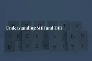 Understanding MEI and DEI