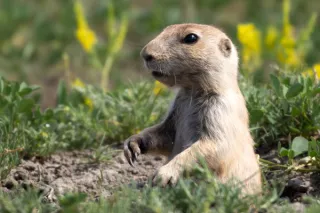 Feeling Like It’s Groundhog Day? It’s Time to Reassess