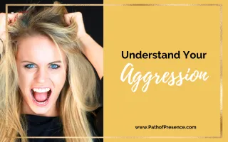 Aggression Within: Understand and Transform the Reptile
