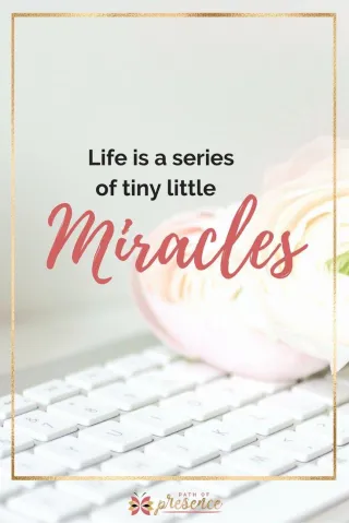 Life is a Series of Tiny Little Miracles