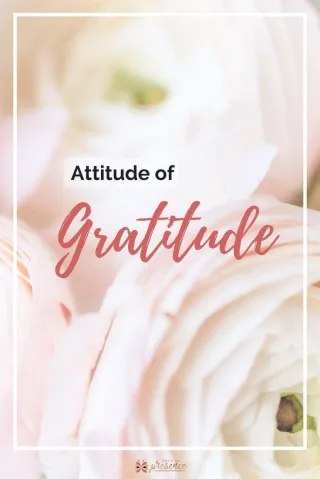 An Attitude of Gratitude: Shift Your Mindset Today