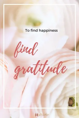 To Find Happiness, Find Gratitude