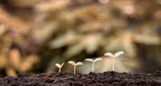 Growth Happens in the Quiet