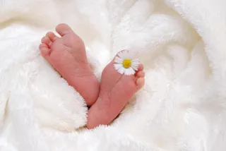 Why Every Intended Parent Needs the Right Surrogacy Lawyer