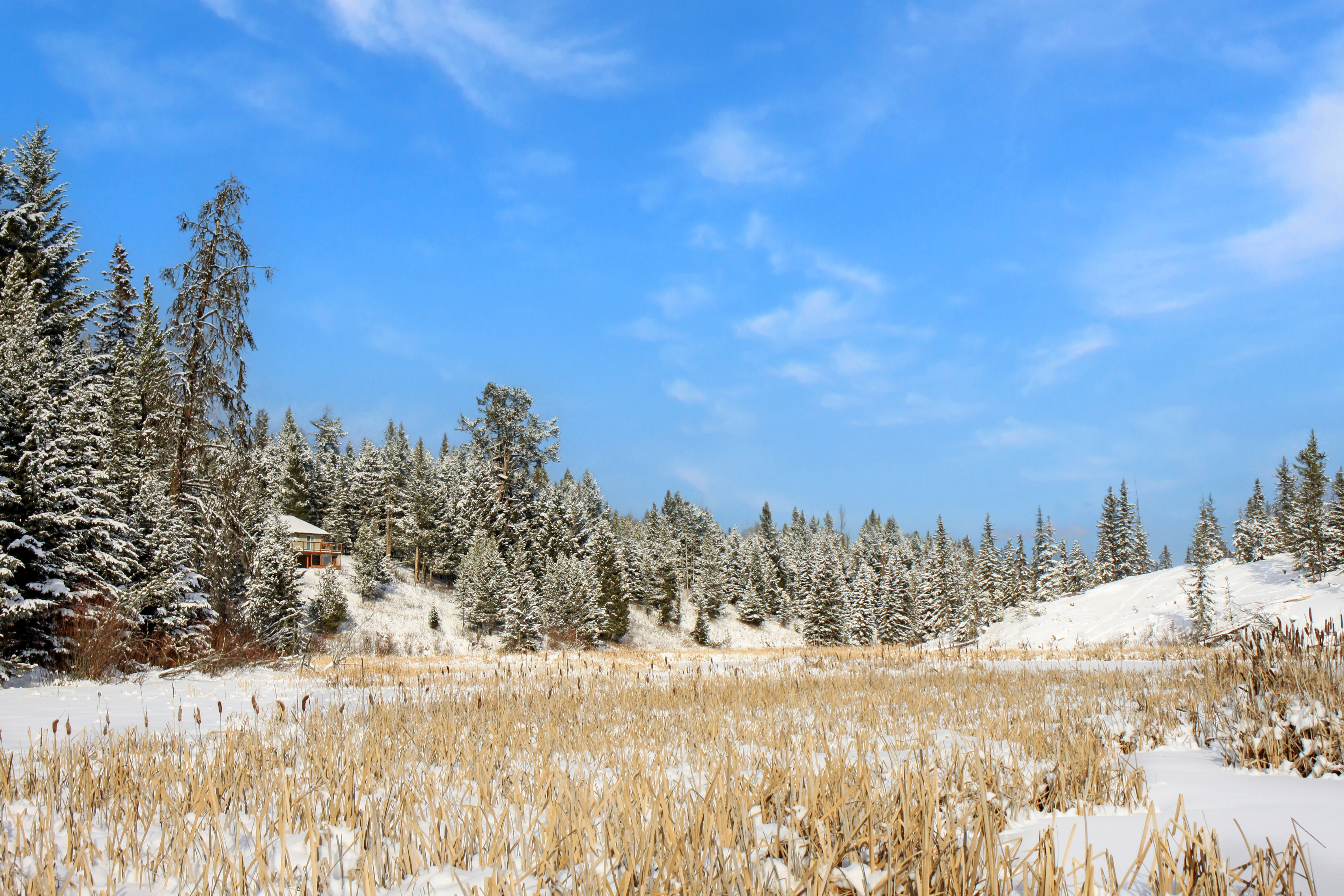 Can you live year-round in Interlakes, BC?