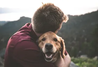 Plan for your pet