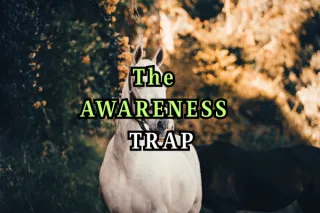 AWARENESS Trap