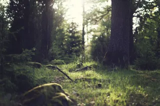 Hope and Resiliency: Creating Your New Normal