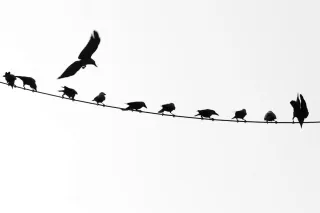 How is The Scope Creep Coming Along?