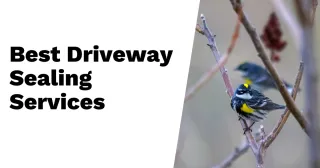 Discover the Best Driveway Sealing Services Near Me