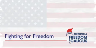 Georgia Freedom Caucus Statement on
AFY25 Budget