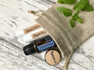 DIY Copycat Burt's Bees Lip Balm; easy 4 ingredient recipe