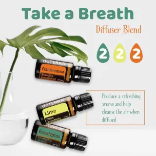6 Uses for Eucalyptus Essential Oil (and one to avoid)