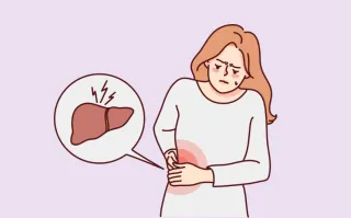 Liver Reset: Unlocking Energy, Better Digestion, and Stronger Immunity
