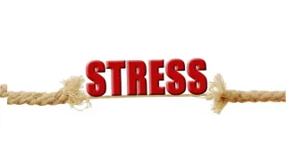 Stress and the Adrenals: A Match Made in Health Hell