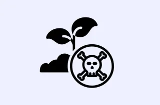 Glyphosate, the Silent Chemical in Your Food: Is Your Diet Toxic?